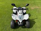 Quad Kymco Maxxer 50 sports, Motoren