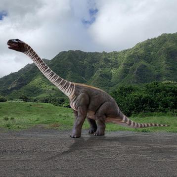 Rhoetosaurus Brownei – Dino beeld 12.90 x 2.00 x 5.25 mt beschikbaar voor biedingen