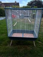 Vogelkooi, Dieren en Toebehoren, Ophalen, Vogelkooi