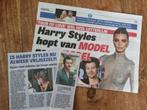 Artikelen Harry Styles (uit kranten 2023), Verzenden, Knipsel(s)