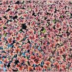 Waterplanten, Dieren en Toebehoren, Vissen | Vijvervissen