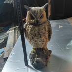 Verschillende beelden van uilen, Enlèvement, Comme neuf, Animal