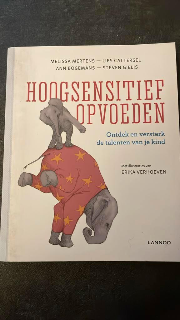 Lies Cattersel - Hoogsensitief opvoeden, Boeken, Zwangerschap en Opvoeding, Zo goed als nieuw, Ophalen
