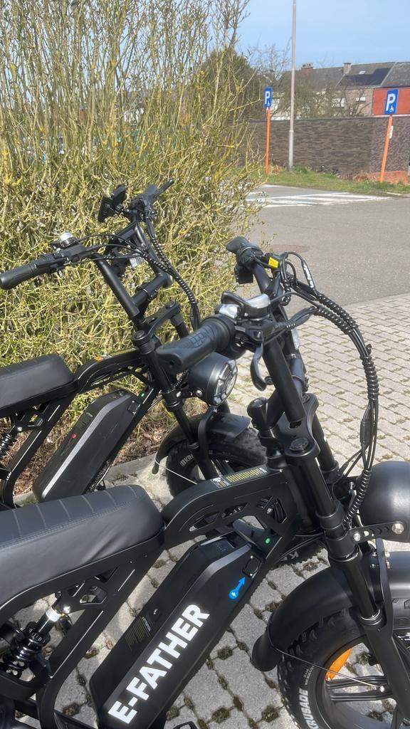 Fatbike v20, Fietsen en Brommers, Elektrische fietsen, Gebruikt, 30 tot 50 km per accu, Ophalen