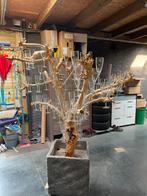 Champagne/cava boom, Huis en Inrichting, Ophalen, Zo goed als nieuw