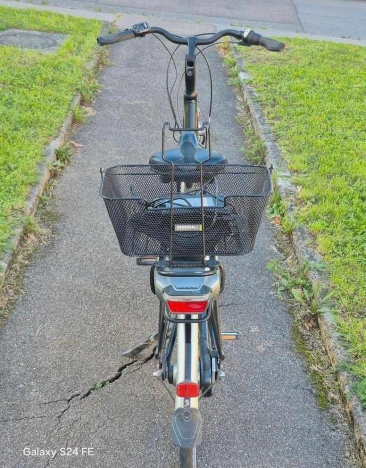 Vélo électrique, Fietsen en Brommers, Elektrische fietsen, Zo goed als nieuw, Giant, 47 tot 51 cm, 30 tot 50 km per accu, Ophalen of Verzenden