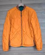 2 vestes en 1, en fonte, neuves, taille M, Vêtements | Hommes, Vestes | Hiver, Enlèvement ou Envoi, Neuf, Taille 48/50 (M), Cast Iron