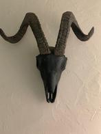 decoratieve zwarte schedel, Ophalen