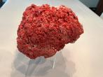 Rode koraal, Verzamelen, Mineralen en Fossielen, Ophalen of Verzenden