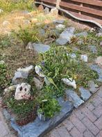 Gratis sierstenen voor rotstuin, Tuin en Terras, Ophalen, Gebruikt