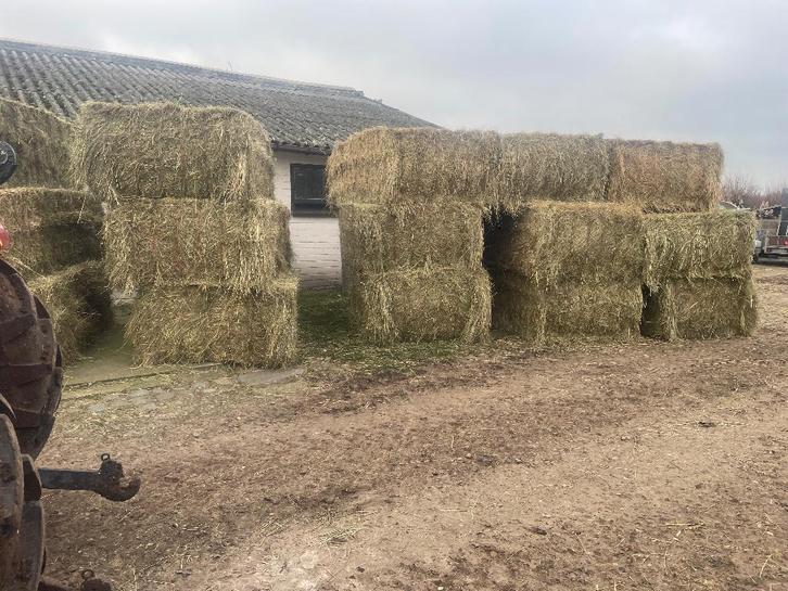 platte balen 120/70 en 120/90 + ronde balen hooi, Dieren en Toebehoren, Dierenvoeding, Ophalen of Verzenden