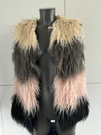 Bodywarmer (38) van Hampton Bays !, Hampton Bays, Verzenden, Zo goed als nieuw, Maat 38/40 (M)