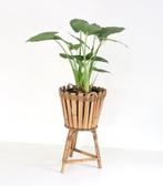 Vintage bamboe plantenbak jaren 60, Ophalen of Verzenden, Zo goed als nieuw