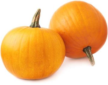 Pompoenplantjes beschikbaar voor biedingen