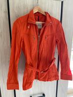 Jasje “moncler”, Ophalen of Verzenden, Oranje, Jasje