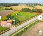 Weide gang te huur, Weidegang, 2 of 3 paarden of pony's