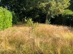 Sublimez Votre Jardin avec Nos Services Professionnels, Garantie, Tuinontwerp