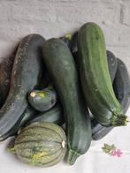 Courgette en pompoen, Divers, Produits alimentaires, Enlèvement