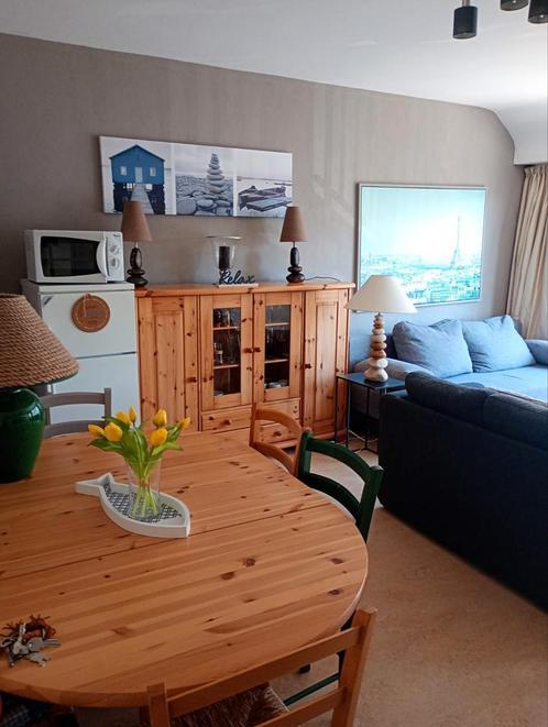 Appartement met zijdelings zeezicht in het centrum van De Pa, Immo, Appartementen en Studio's te huur