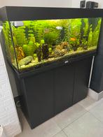 Juwel 180, Dieren en Toebehoren, Ophalen, Gebruikt, Leeg aquarium