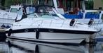 DORAL 300 SC dans, Sports nautiques & Bateaux, Bateaux à moteur & Yachts à moteur, Comme neuf, 9 à 12 mètres, Polyester, Enlèvement