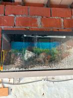 Aquarium, Dieren en Toebehoren, Vissen | Aquaria en Toebehoren, Ophalen, Gebruikt