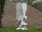 Adelaar met vleugels omhoog - vol steen, Tuin en Terras, Ophalen of Verzenden, Steen, Dierenbeeld