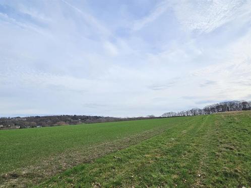 Terrain à vendre à Dworp, Immo, Gronden en Bouwgronden, 1500 m² of meer