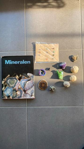 Verzameling van mineralen + fosielen + 1 rotsblok van 1400gr beschikbaar voor biedingen