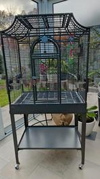 Vogelkooi 80 hoog, 70 breed en 45 diep, voor kromsnavels, Dieren en Toebehoren, Ophalen, Zo goed als nieuw