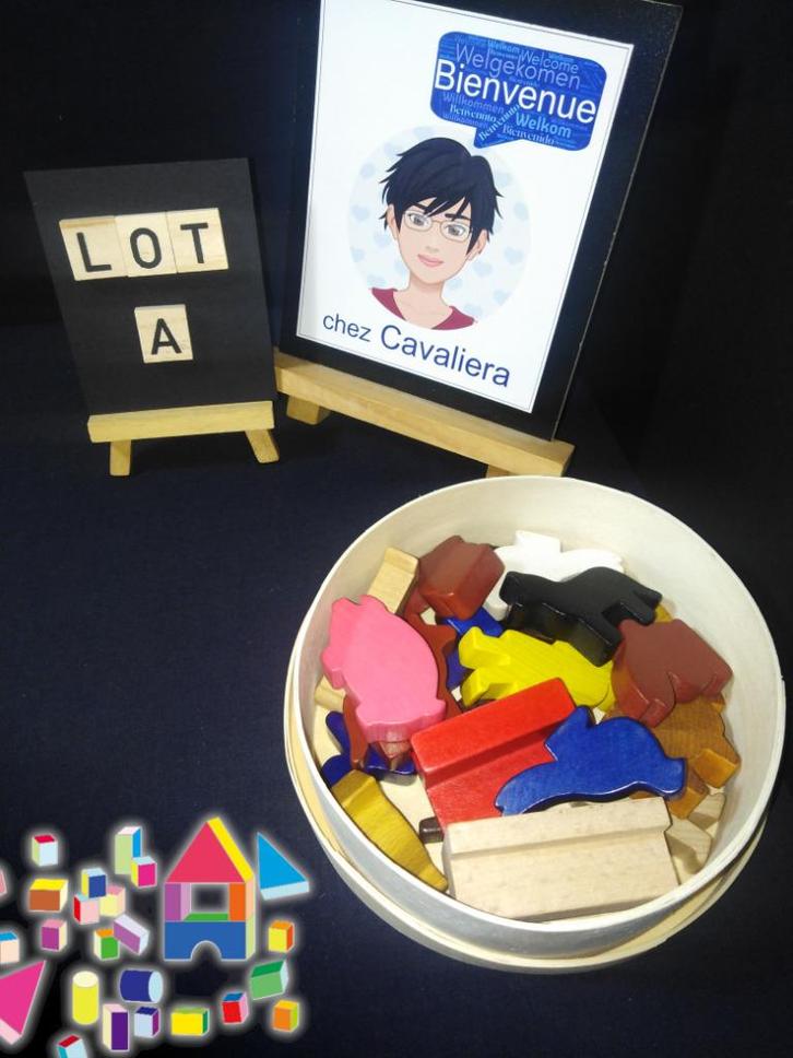 Massief houten figuren in een doos - WEINIG gebruikt - Spel, Kinderen en Baby's, Speelgoed | Bouwstenen, Zo goed als nieuw, Overige merken