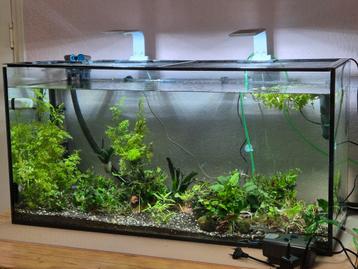 Aquarium  beschikbaar voor biedingen