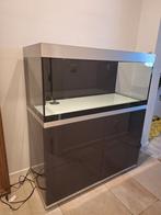 Oase Highline Optiwhite 300 met kast (antraciet), Ophalen, Gebruikt, Leeg aquarium