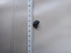 Moldaviet 1,76 g, Ophalen of Verzenden, Overige typen