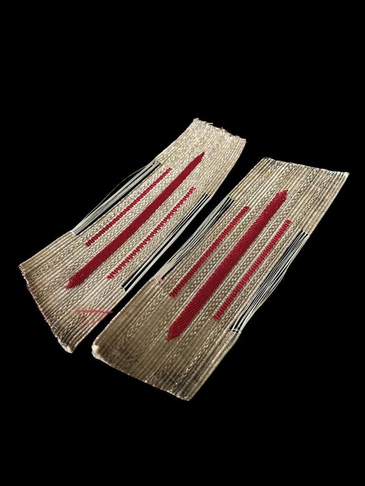 WH WW2 kragenspiegel veterinarians, Verzamelen, Militaria | Tweede Wereldoorlog, Ophalen of Verzenden