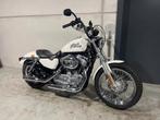 Harley-Davidson Leuke Sportster 883 in mooie staat met weini, Motoren, Chopper, Bedrijf, 883 cc, Meer dan 35 kW