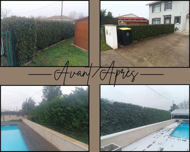 Entretien parcs & jardins, Tuin en Terras, Overige Tuin en Terras, Nieuw, Ophalen of Verzenden