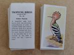 Tropical Birds complete set 25 chromos vogels circa 1960, Verzamelen, Ophalen of Verzenden, 1940 tot 1960, Dier, Prent