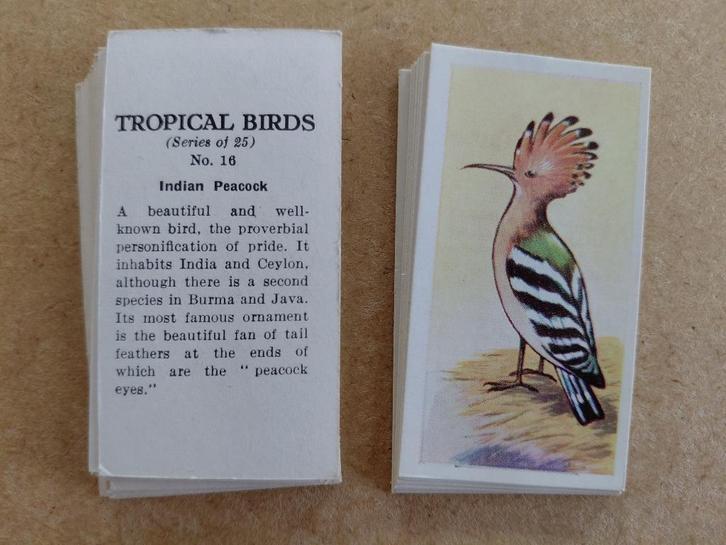 Tropical Birds complete set 25 chromos vogels circa 1960, Verzamelen, Foto's en Prenten, Prent, Dier, 1940 tot 1960, Ophalen of Verzenden