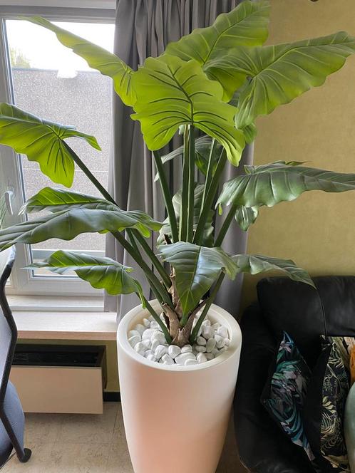 Kunstplant + elgo pot + wit stenen, Huis en Inrichting, Kamerplanten, Ophalen
