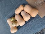 Butternuts, Tuin en Terras, Ophalen, Zo goed als nieuw