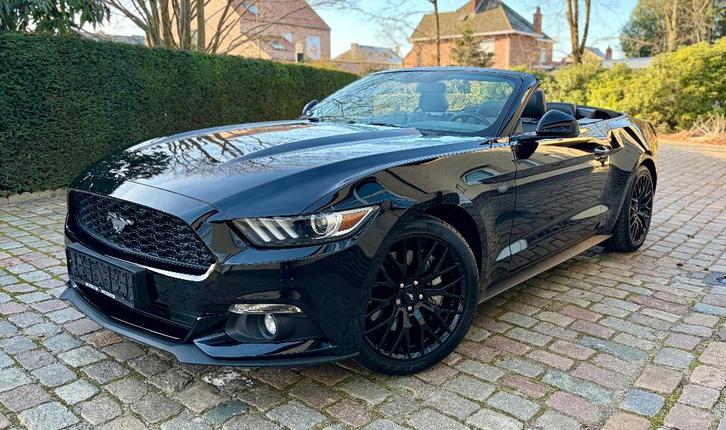 Ford Mustang 2.3 Ecoboost Cabrio ### 65000 km ###, Auto's, Ford, Bedrijf, Te koop, Mustang, ABS, Achteruitrijcamera, Adaptieve lichten