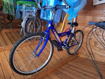 Vélo Cachera sport 10-15 ans, Enlèvement, Neuf, Autres types