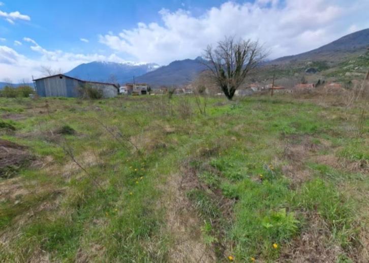 Bouwgrond in Griekenland, Immo, Gronden en Bouwgronden, 1500 m² of meer