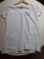Motor-T-shirts voor dames in verschillende maten, Overige typen, Fruit of the Loom, Ophalen of Verzenden, Nieuw zonder kaartje