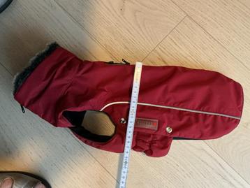 Hondenjasje mt 36 beschikbaar voor biedingen