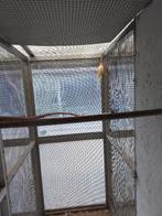 pennant, Dieren en Toebehoren, Vrouwelijk, Parkiet, Pratend