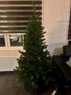 Kerstboom, Diversen, Kerst, Ophalen, Gebruikt