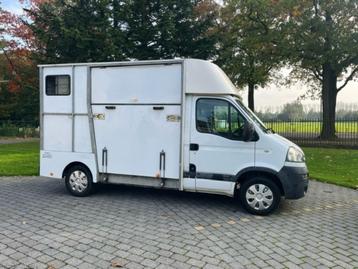 Opel Movano Horse Truck / Paardencamionette