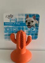 All for paws dental cactus medium, Ophalen of Verzenden, Nieuw, Kauwspeelgoed
